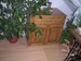 PICT1091.JPG