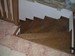 PICT1541.JPG